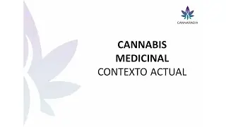 Contexto del cannabis medicinal en argentina