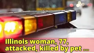 Illinois woman, 77, attacked, killed by pet pit bull, reports say