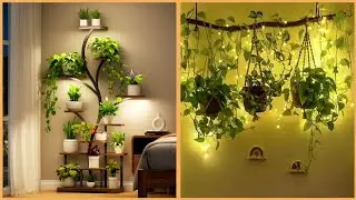 Vertical Gardens: Creative Indoor Hanging Plant Ideas for Small Spaces