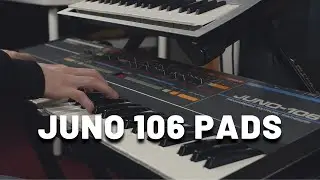 Roland Juno-106 Pads | Classic Analog Synth Sounds (No Talking)