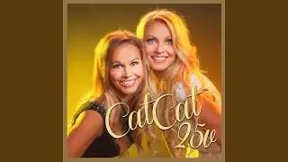Bye Bye Baby (Remix)