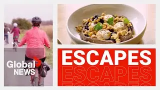 Local Escapes: Must-visit spots in Prince Edward County during the fall