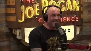 Joe Rogan Exploring the Nautical World with Robin Graham
