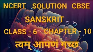 Class 6 Sanskrit दीपकम् &ndash; पाठ 10 &ldquo;त्वम् आपणं गच्छ&rdquo; | सम्पूर्ण प्रश्नोत्तर समाधान