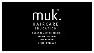 Creating A Vivid Overlay - Stevie Vincent Education