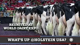 What's Up at Holstein USA: Reunited at World Dairy Expo