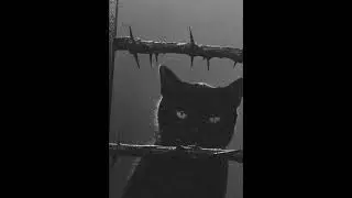 90s Boom Bap x LoFi Type Beat | 