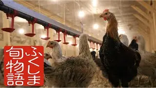 ふくしま旬物語　会津地鶏　～まごころを込めて育む、滋味の極み～