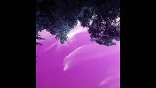 Within Range
