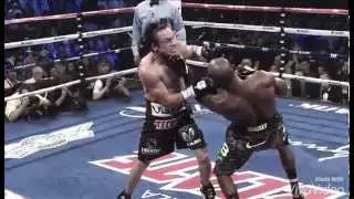 Timothy Bradley - Highlights 2015