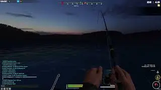 Fisher Online - Serbie fl. Danube - Unique Br&egrave;me (Bream)