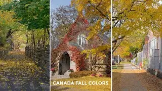My second day in Canada toronto, Autumn session ,Canada fall colors