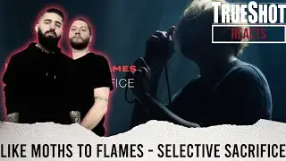 BEST SINGLE?! | METALCORE BAND REACTS - LIKE MOTHS TO FLAMES 