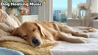 Relaxing Dog Music 🐾 Sleep Music For Dogs 🎧 Calming Music Offering Steady Soothing Presence
