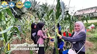 Kelompok 7 Praktikum Kesehatan dan Kesuburan Tanah