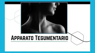 La pelle e gli annessi cutanei