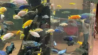 VGP Marine Kingdom l Aquarium lTour l Tamil