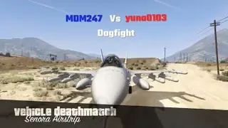 GTA 5: MDM247 Vs yuna0103 Dogfight