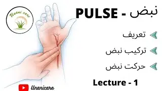 NABZ || PULSE || نبض || SAREERYAT || L-1