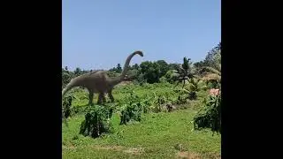 Diplodocus Dinosaur: Exploring the Jungle Habitat #sbvfx #vfx #diplodocus #dinosaur #ytshorts