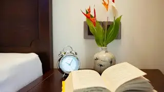 ROXANA RIVER VILLA, Hoi An, Vietnam | Travel With Bhumika
