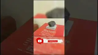 Человек Пострадавший от Прямого Попадания Метеорита!😱 #shorts #метеорит