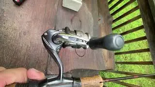 Shimano Sienna 500 spin fishing reel of the day #reel #fish