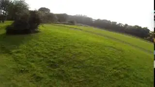 ZMR250 250mm Carbon Fiber Mini Quad