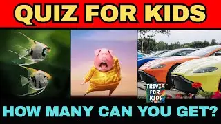 Animals in Movies & Snack Facts! | Fun Trivia for Kids, Families & Classrooms