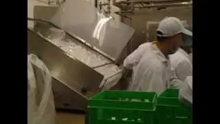 Dispensing bottles at Debagging Table