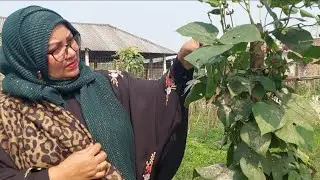 সিঙ্গার ( মানিকগঞ্জ) ২য় দিনে দেখেন HM Khan Vlogs07 