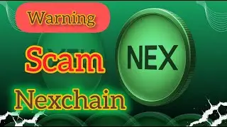 Don&rsquo;t Buy NexChain! I Used a Scam Detector Tool to Expose It!