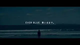 BLUE DESIGN GROUP
