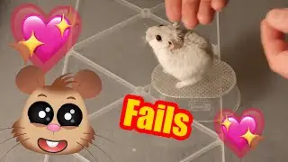 Hamster Tricks #59
