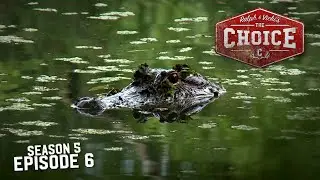 ALLIGATOR ALLEY IN OSCEOLA - The Choice (Full Episode) // S5: Episode 6