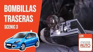 Cómo cambiar las bombillas traseras Scenic 3 💡