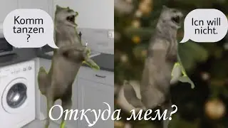ИХ ВИЛЬ НИХТ &mdash; ОТКУДА МЕМ?