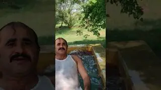 desi village life enjoy boys swimming pool Jumping #special video 🖐️🖐️🇩🇿 Like okay
