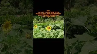 #life#lessons#new#today#youtube#update#upsc#aspirants#trending#viral#funny#vlog#ytshorts#instagram