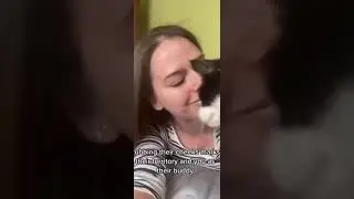 Signs that your cat loves you and trust you