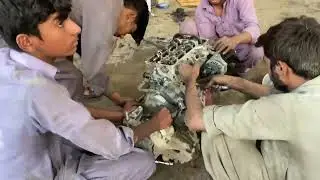 Открытие двигателя Suzuki Alto