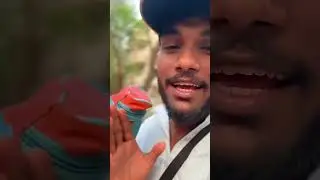 Faaaa.!😂 #2026 #minivlog #vlog #shortvideo #funny #comedy #yaari 
