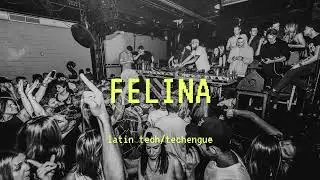 Hector y Tito - Felina (TECHENGUE) - DJ BAZZ