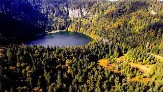 Lake Feldsee (Feldberg) in evening light | Aerial (4K)