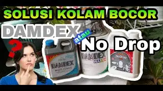 Damdex Pelapis Anti Bocor Kolam Ikan