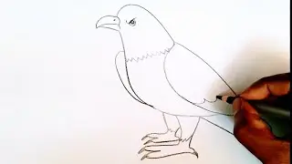 How to draw eagle easy 🦅 | eagle ki drawing banana sikhaye | eagle ki drawing kaise banate hain