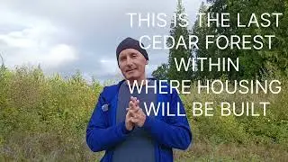 Truly!  the Last Cedar Forest,  FB Poll for LAND SWAP . 