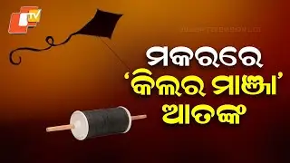 Killer Manja Terror During Makar Festival in Odisha