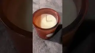 Candle Neutralizes Pet Odor