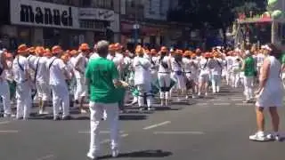 Sapucaiu No Samba auf dem Karneval der Kulturen Berlin Juni 2014